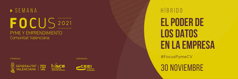 Focus Pyme CV Datos