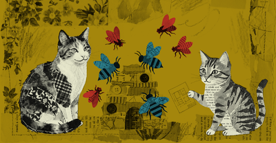 �Cooperamos por ego�smo o por altruismo?