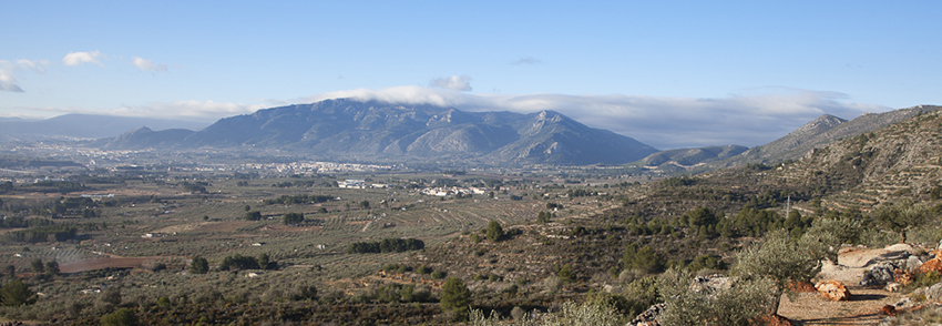 Mancomunitat de Municipis de l'Alcoi� i el Comtat