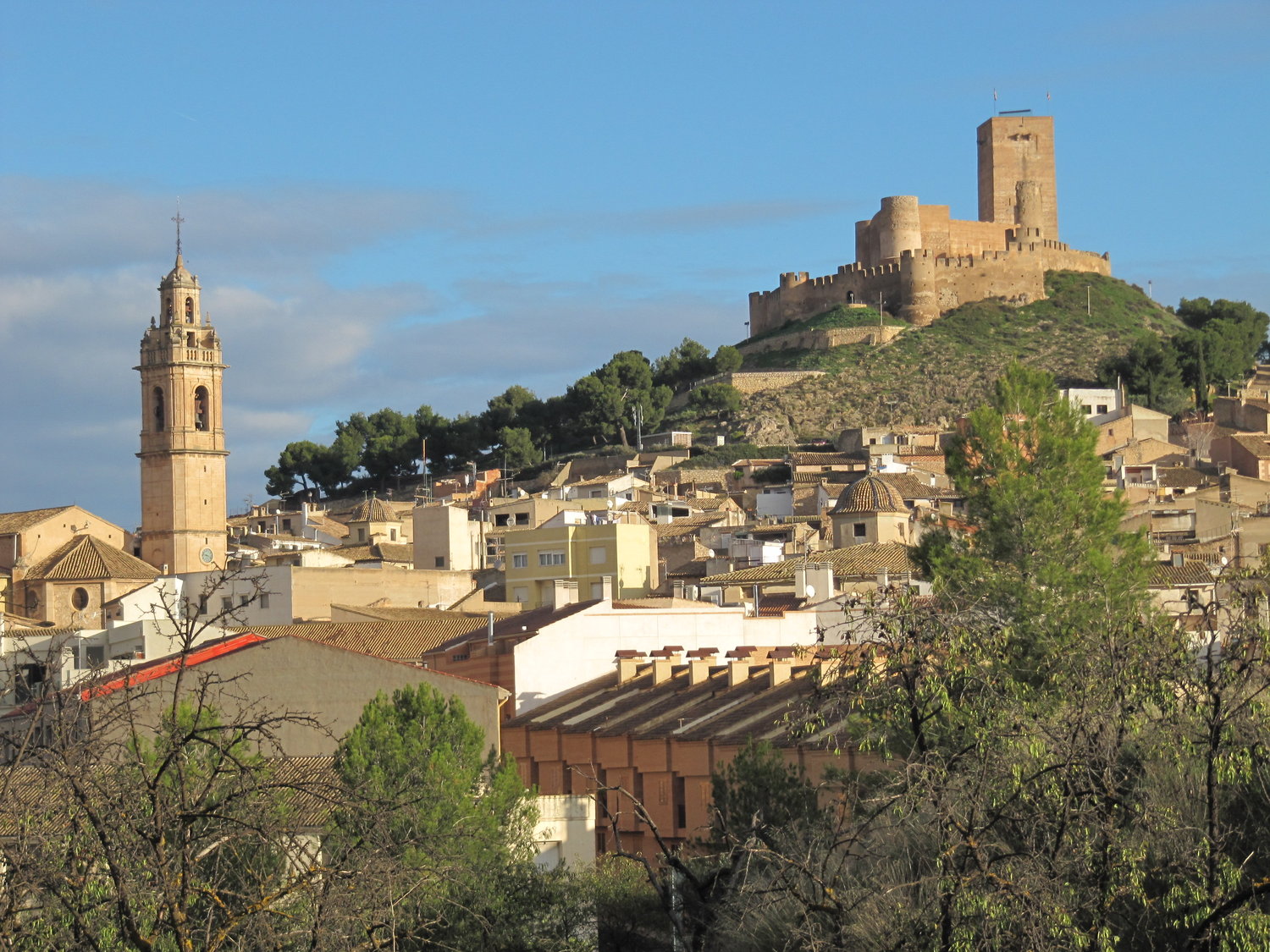 M.I. AYUNTAMIENTO BIAR - ADL